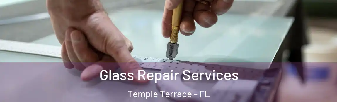 Glass Repair Services Temple Terrace - FL