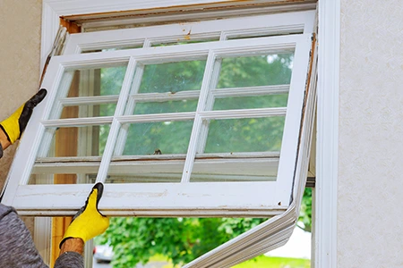 Window Replacement in Temple Terrace, FL